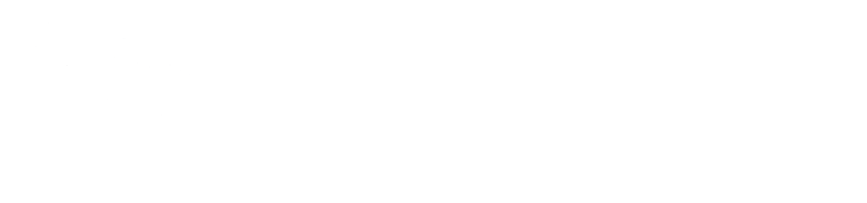 Anpel Construction & Remodeling Logo